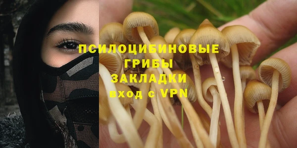 ПСИЛОЦИБИНОВЫЕ ГРИБЫ Липки