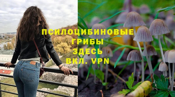 дурь Ладушкин