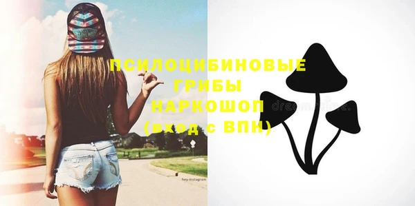 ПСИЛОЦИБИНОВЫЕ ГРИБЫ Липки