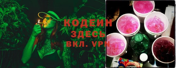 дурь Ладушкин
