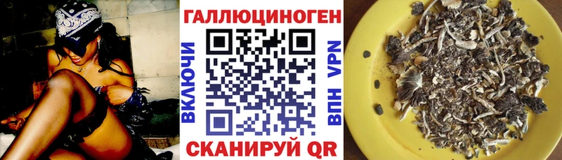Галлюциногенные грибы Psilocybe  кракен вход  Удачный 